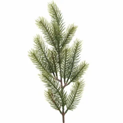 Branche de sapin (52 cm) Omorika Vert
