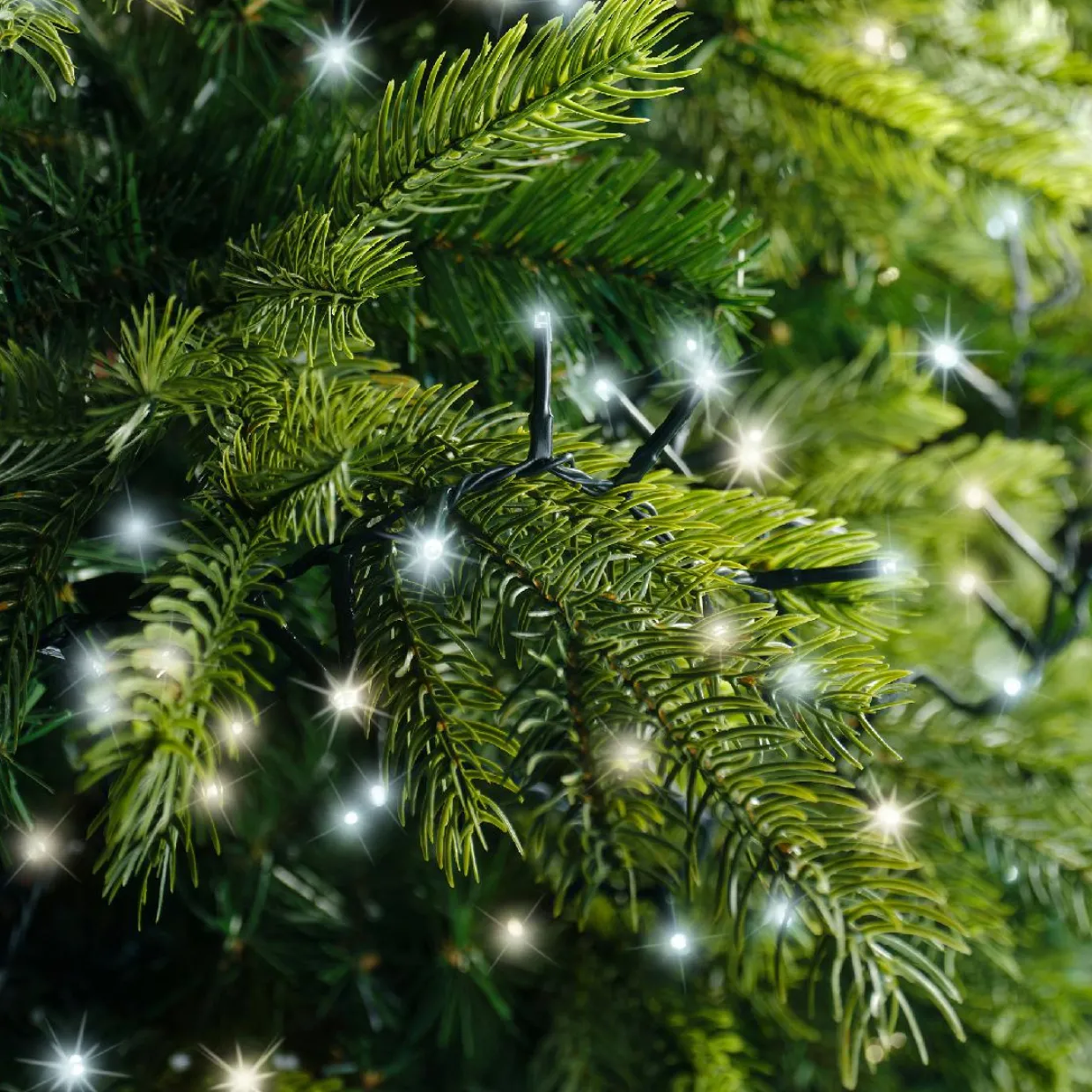 Guirlande lumineuse 22,5 m 1000 LED câble vert Luxe Bicolore Blanc chaud et froid