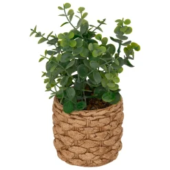 Plante artificielle en pot cimenté (H27 cm) Eucalyptus Jaye