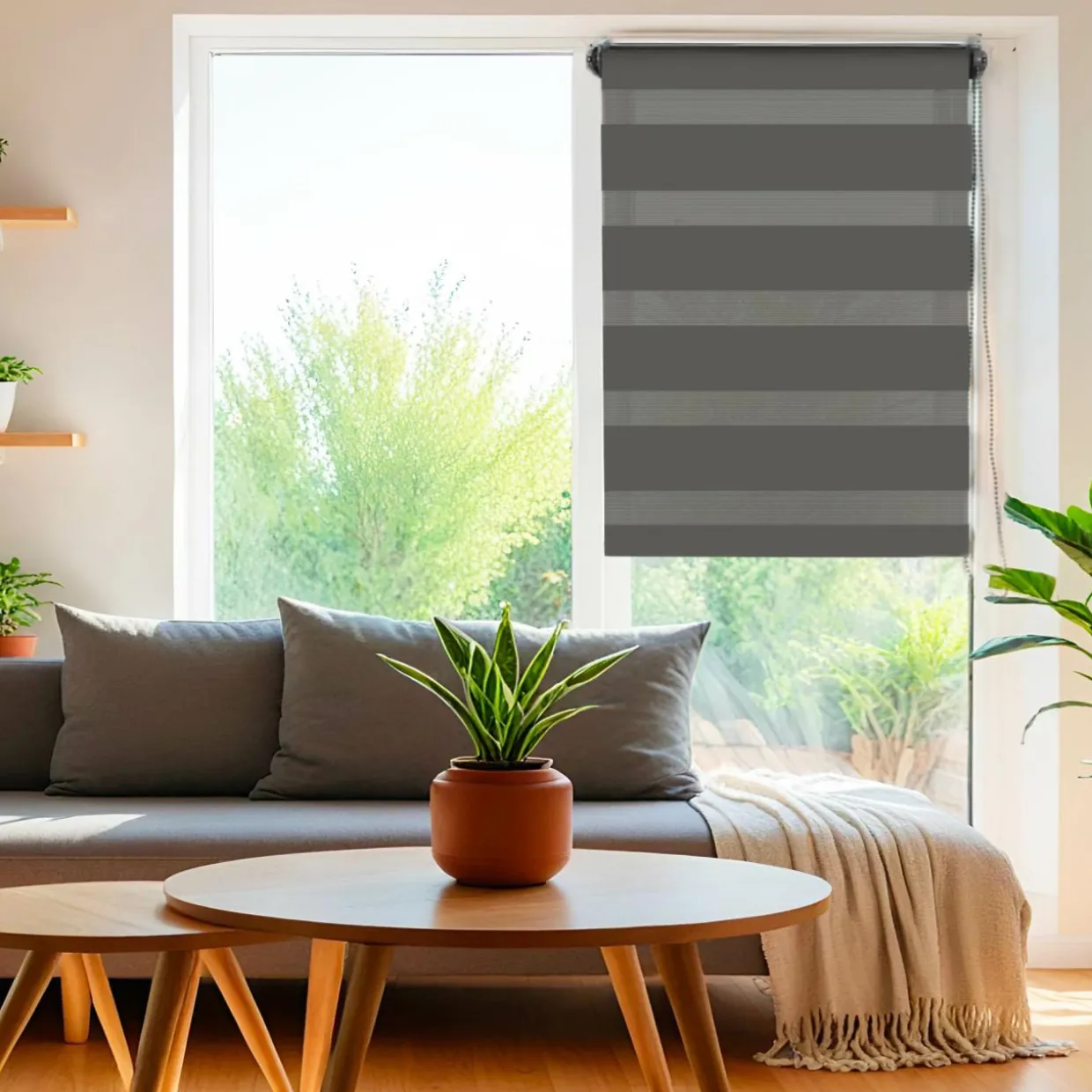 Store enrouleur Jour / Nuit (45 x 250 cm) Gris anthracite