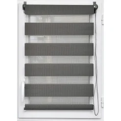 Store enrouleur Jour/Nuit (60 x 180 cm) Gris anthracite
