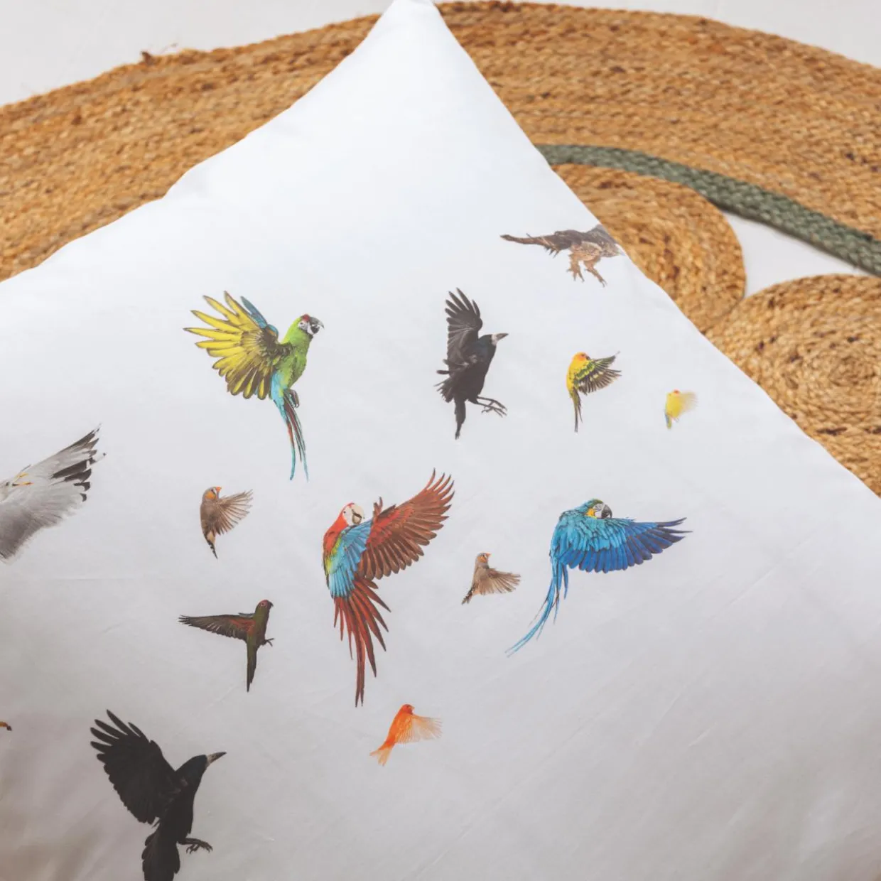 Taie d'oreiller carrée enfant percale de coton ( 65 x 65 cm) Noé Multicolore